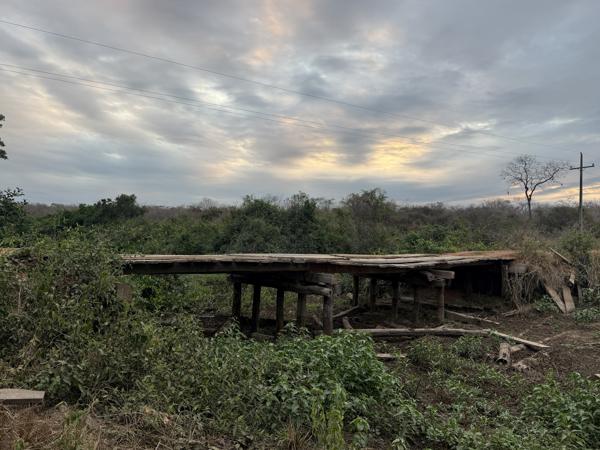 De weg door de Pantanal